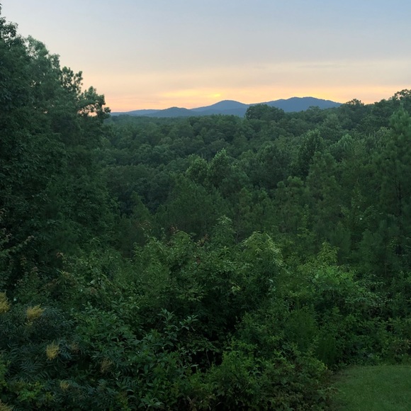 Meet your Posher, Brenda - Picture 1 of 1